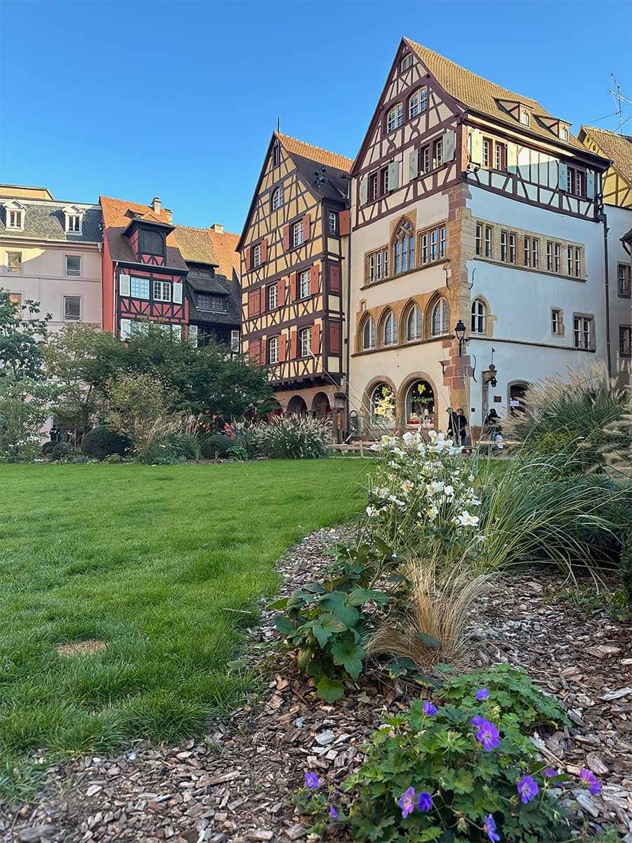 Alsazia Colmar travel design