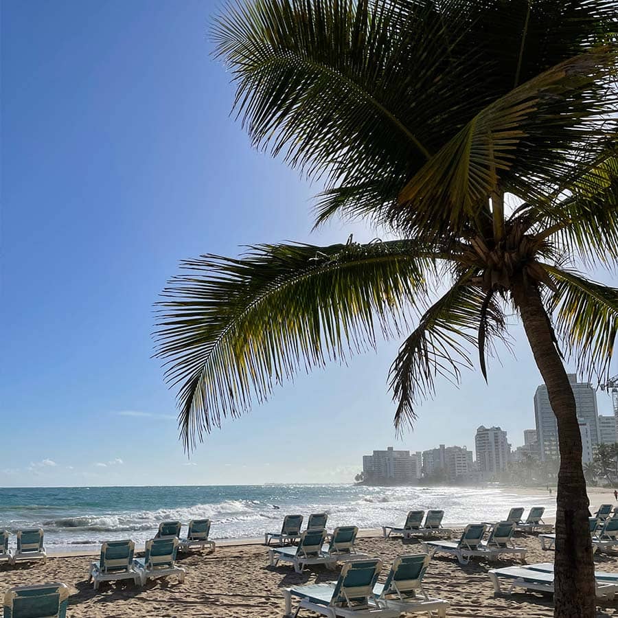 Magdalena T., Buenos Aires