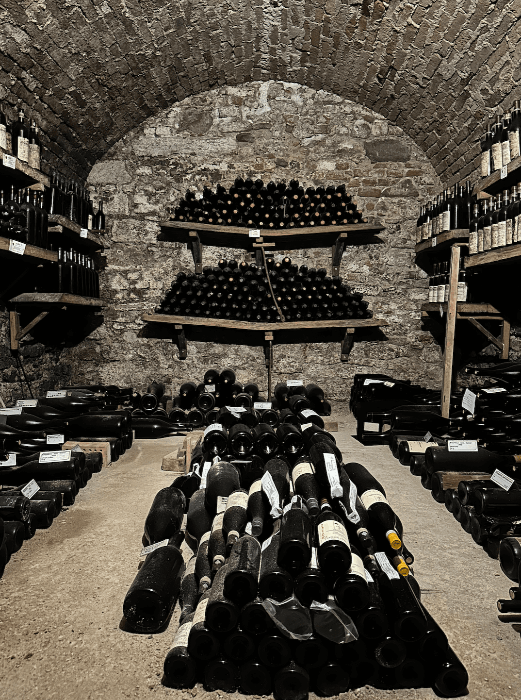 Wine cellar in piemonte