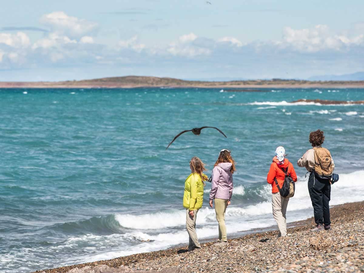 Birdwatching by the coast