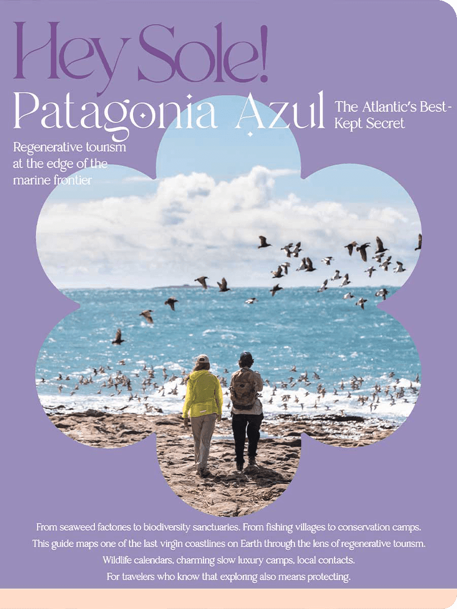 HeySole travel guide Patagonia