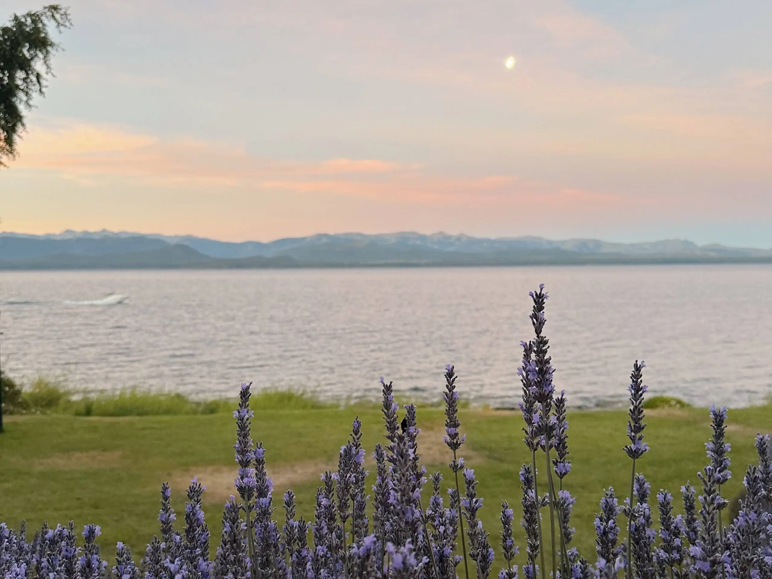 Bariloche Nahuel huapi lavanders amanecer