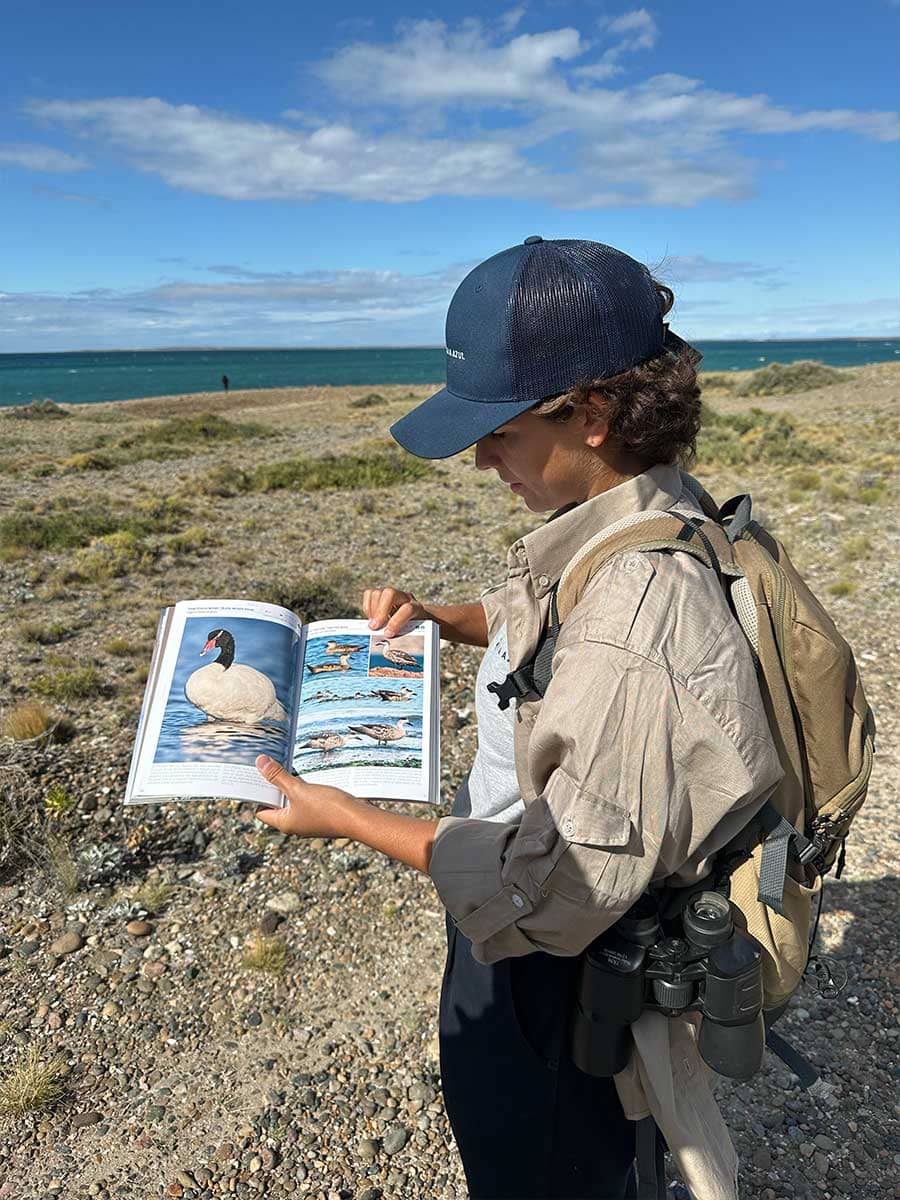 Observación de aves en la costa