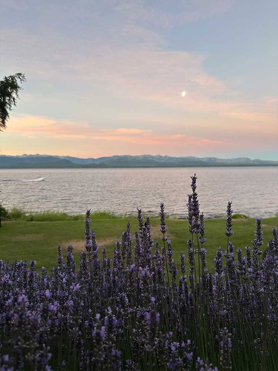 Amanecer a la orilla del lago