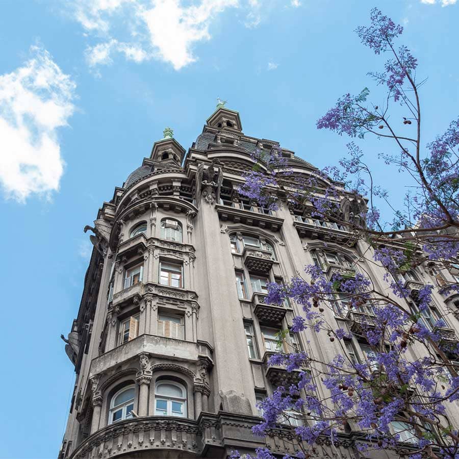Otto Wulf con jacarandá viajes a Buenos Aires